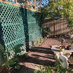 Green Garden View