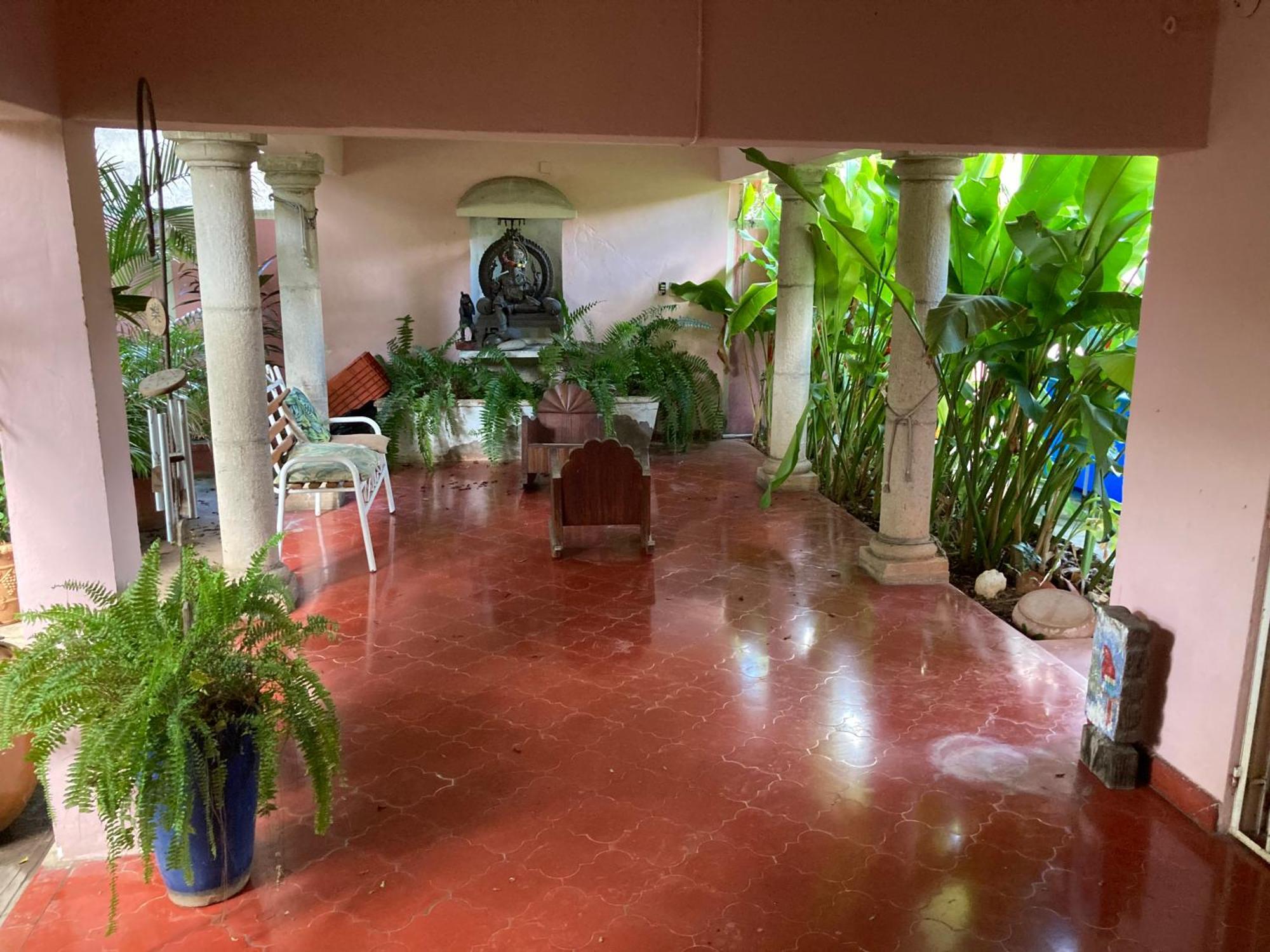Apartment Garden View