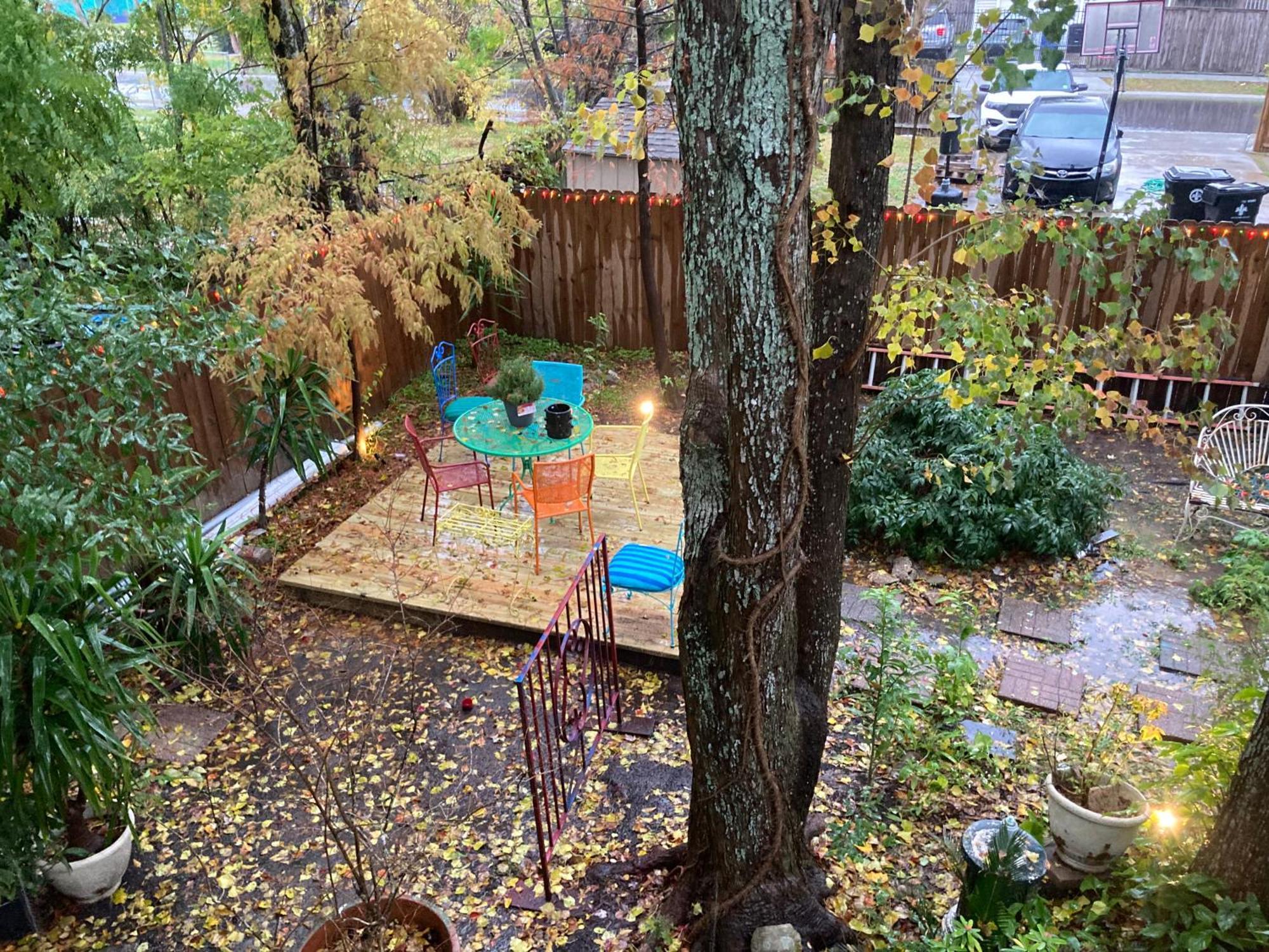 Garden View *
