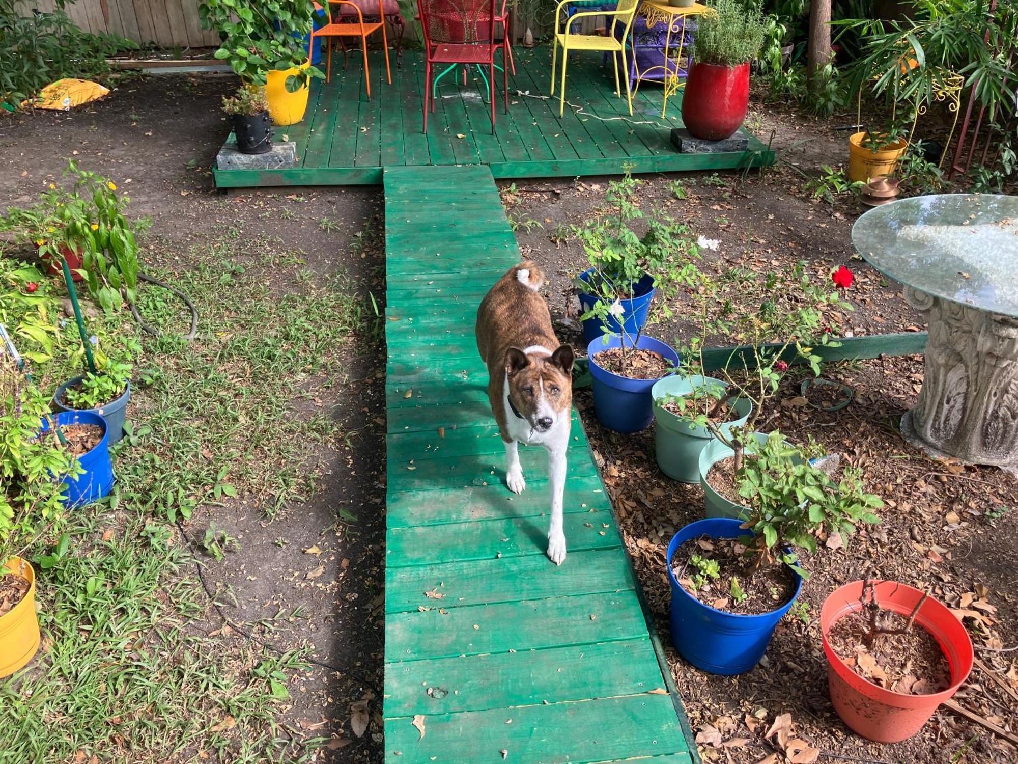 Garden View Apartment New Orleans